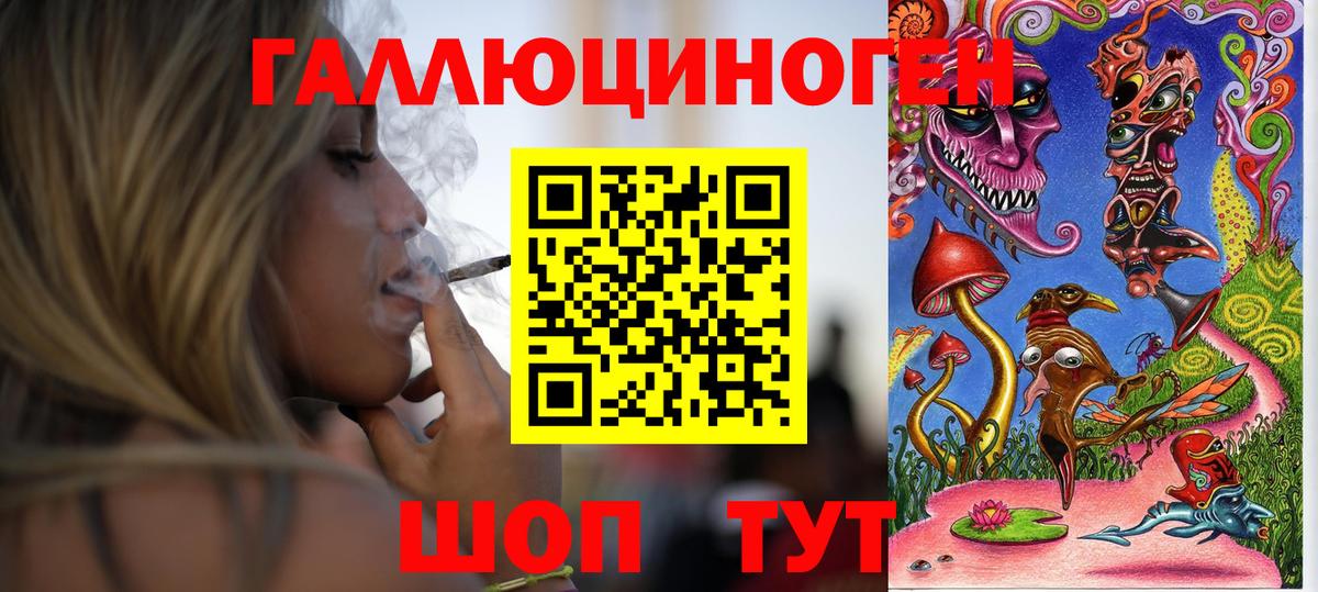 Псилоцибиновые грибы Psilocybe Дзержинск
