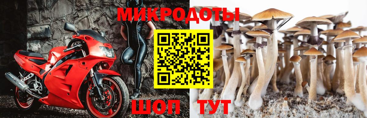 Дзержинск  Псилоцибиновые грибы мицелий  Вход с VPN 